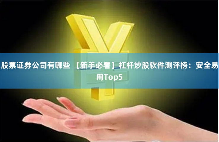 股票证券公司有哪些 【新手必看】杠杆炒股软件测评榜：安全易用Top5