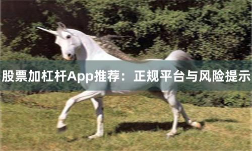 股票加杠杆App推荐：正规平台与风险提示