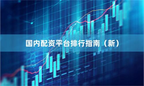 国内配资平台排行指南（新）